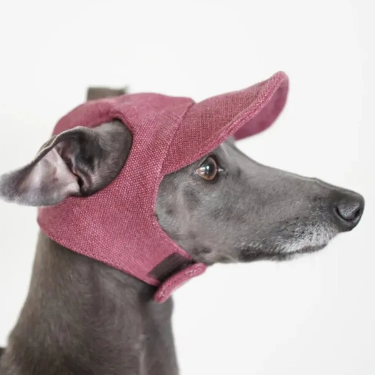 New Pet sunscreen baseball hat Canvas sun hats for dogs Easy to wear pet hats