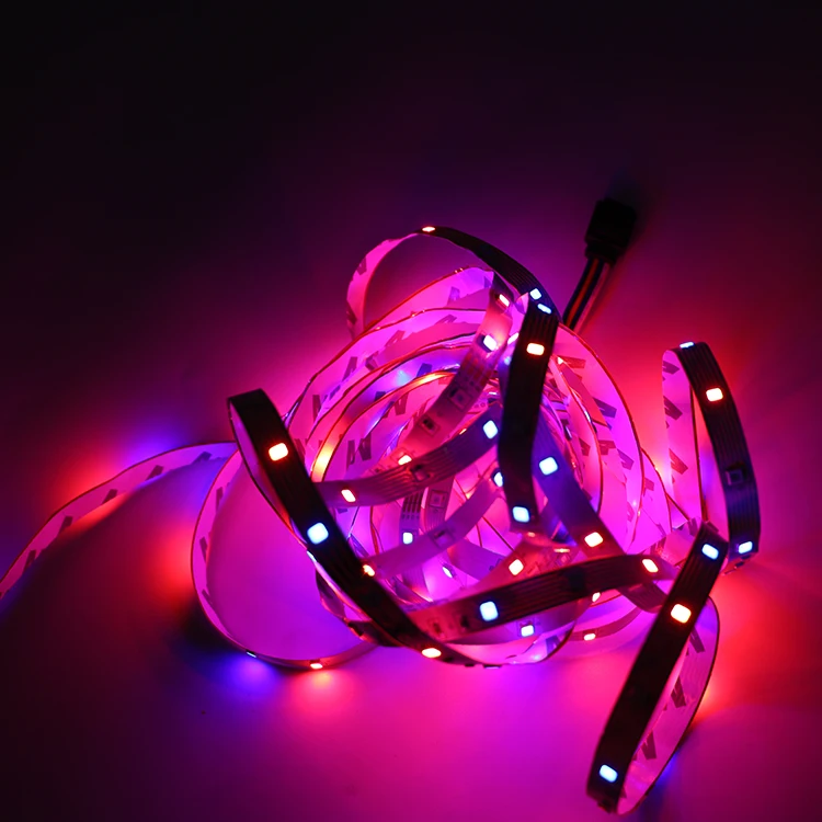 2835 54leds 60leds RGB SMD Flexible 24 Key Remote 12V Power IP65 Waterproof Led Room Strip Light Tape