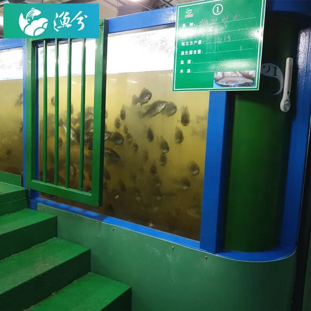 
Indoor fish farm / Intelligent Circulating Water Aquaculture Monitoring System 