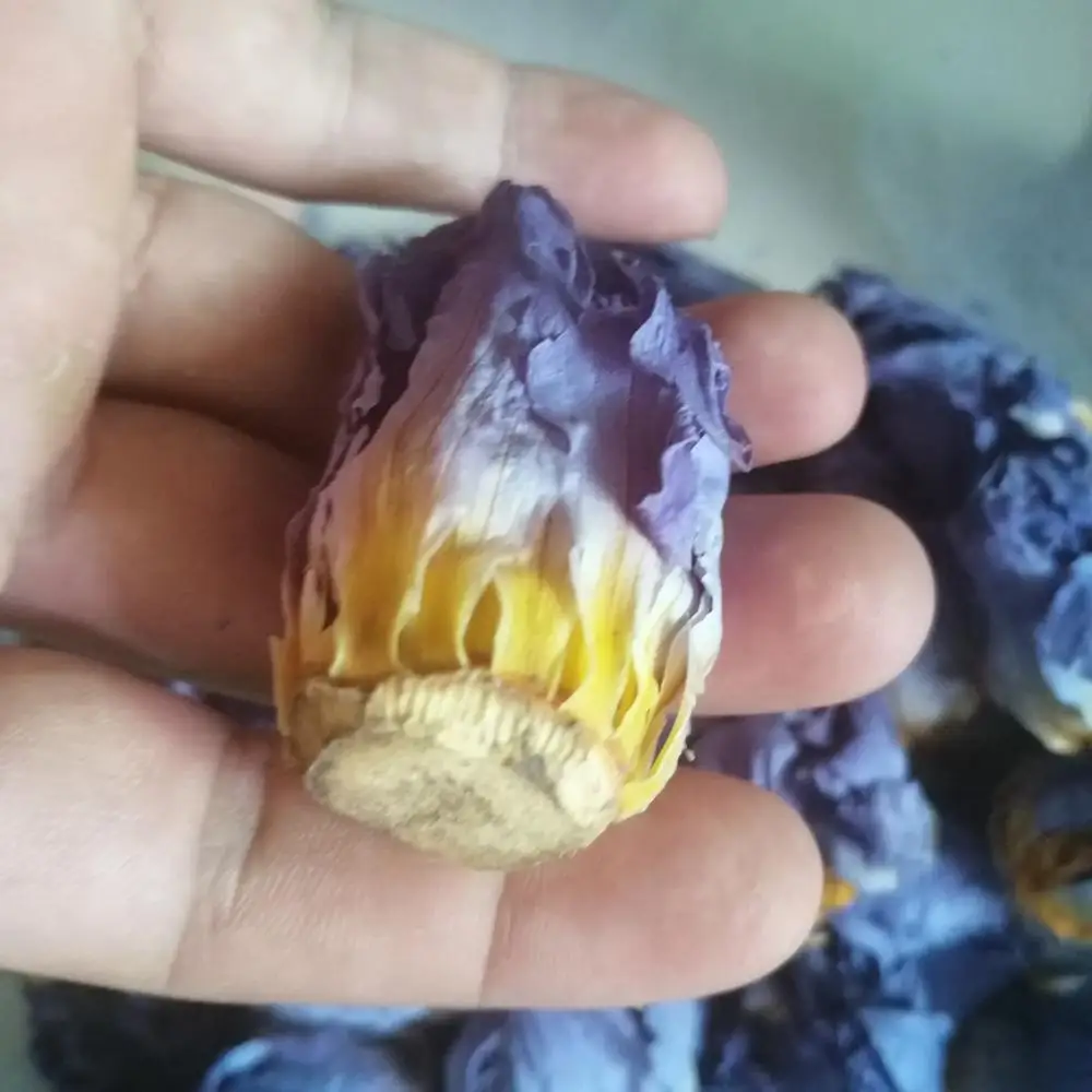 
Fragrant bake Dried blue lotus tea Nymphaea calliantha Conard flowers 