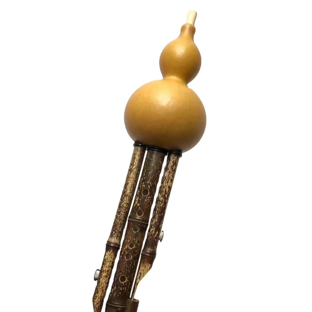 Professional Detachable Hulusi Musical Instrument Cucurbit Hulusi Flute with Natural Gourd and Bamboo C/BB Key for Recording