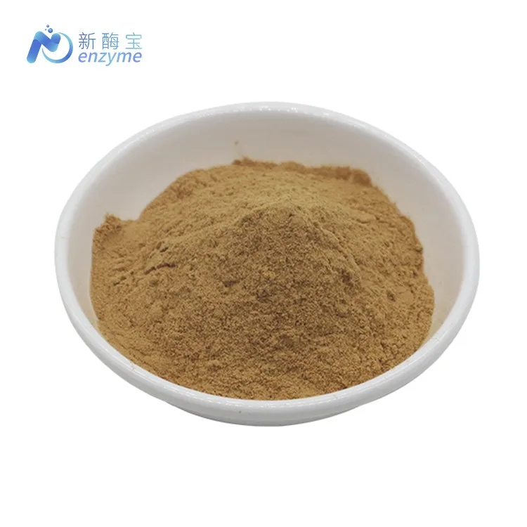Novenzyme Wholesale Ajuga Turkestanica Extract OEM Turkesterone Capsules