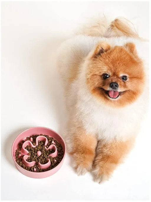 China Wholesale Ceramic Slow Feeder Dog Bowls Small Breed 0.6 Cups Dog Food Dish Eaters Puzzle Bowl Small Dogs Cats