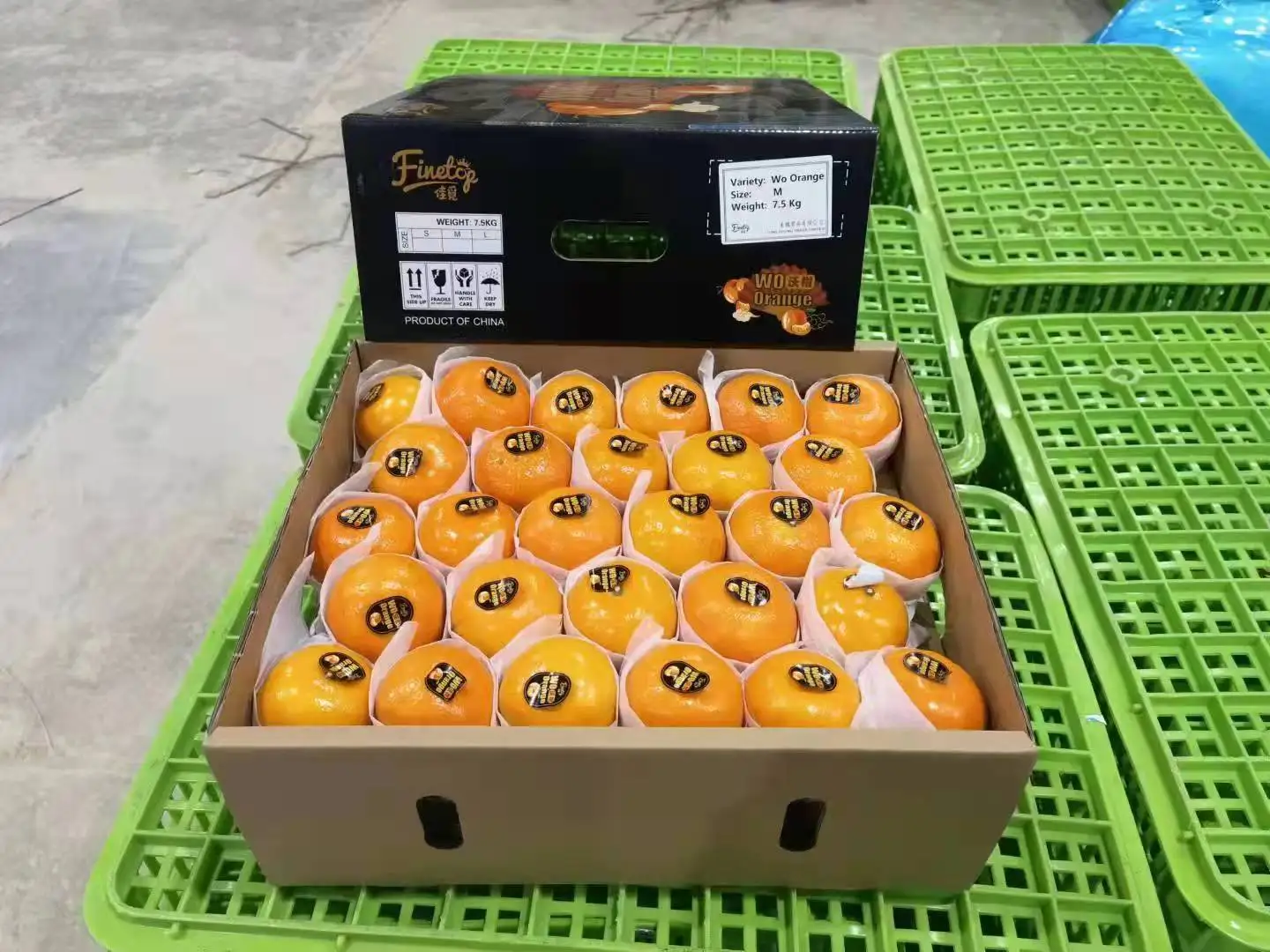 New Citrus Mandarin New Crop Fresh Juicy Orange