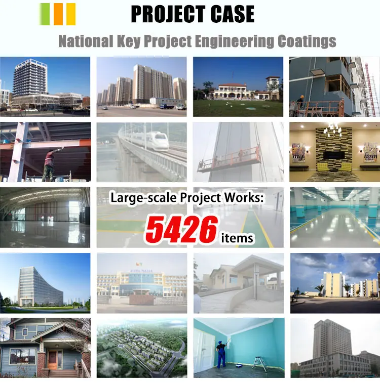 Details-Project-Case