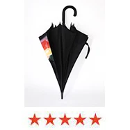 Fashion 3 Folding Umbrella