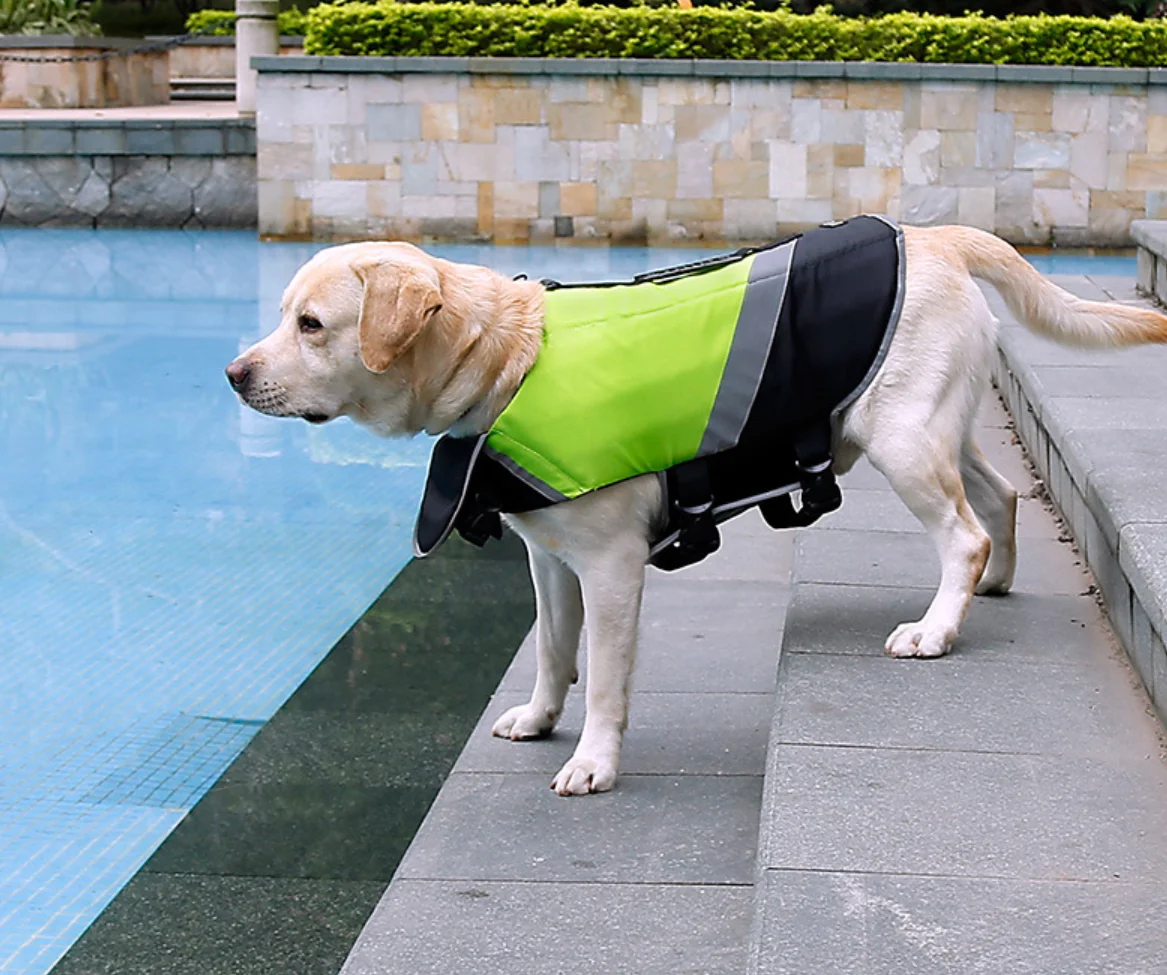 Wholesale reflective swimming dog life jackets bulk pet safety jacket
