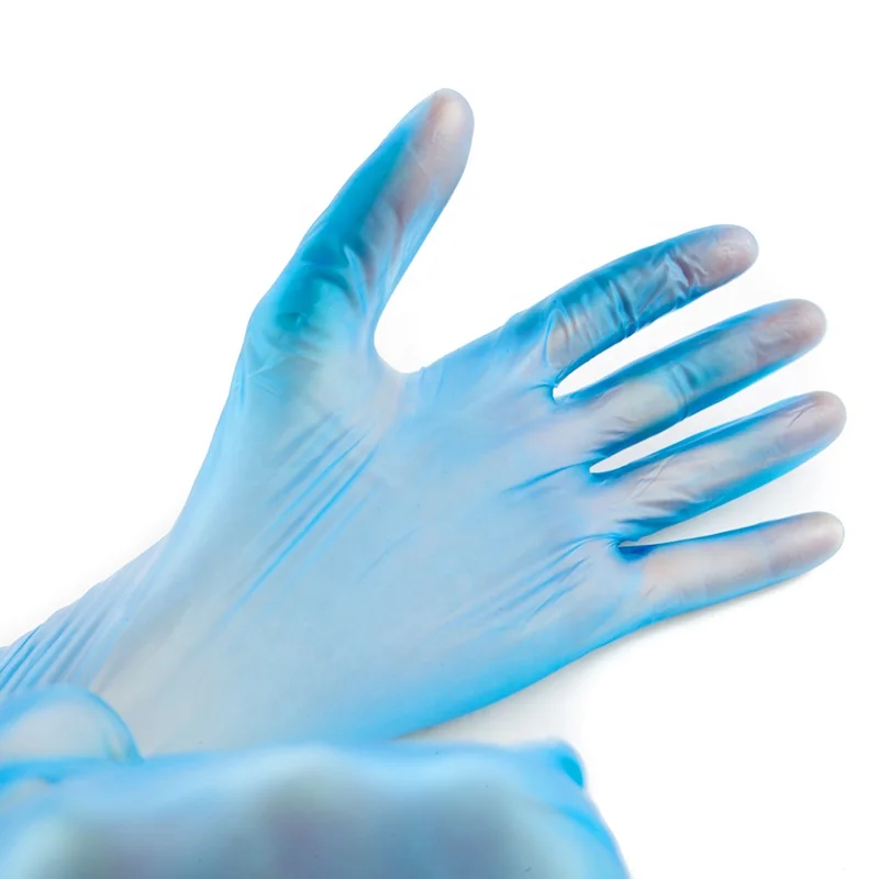 Protective PVC Gloves Powdered Touch Screen Medical Exam Gloves Pet Care Disposable Powder Free Blue Vinyl Gloves for Hospital