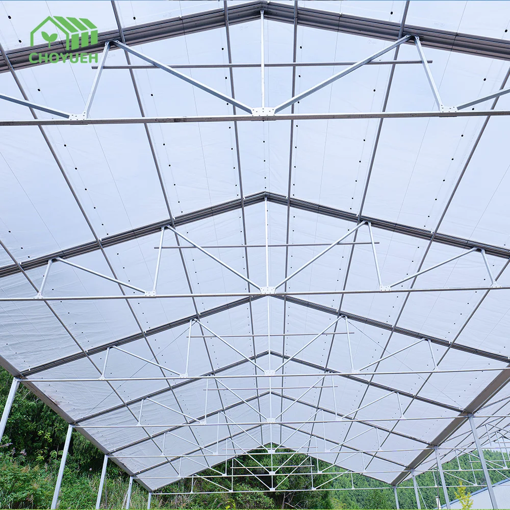 A-Frame Retractable Roof Nursery Greenhouse For Agriculture Full Open Retractable Film Greenhouse With Light Dep System