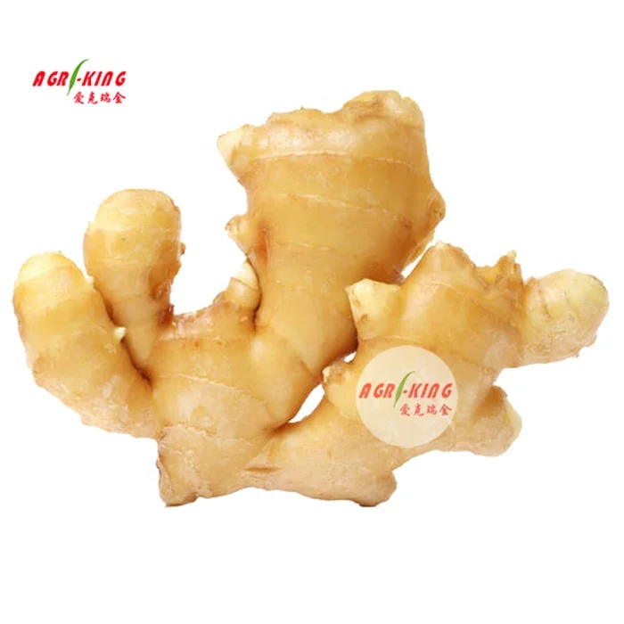 New fresh ginger for sale good price