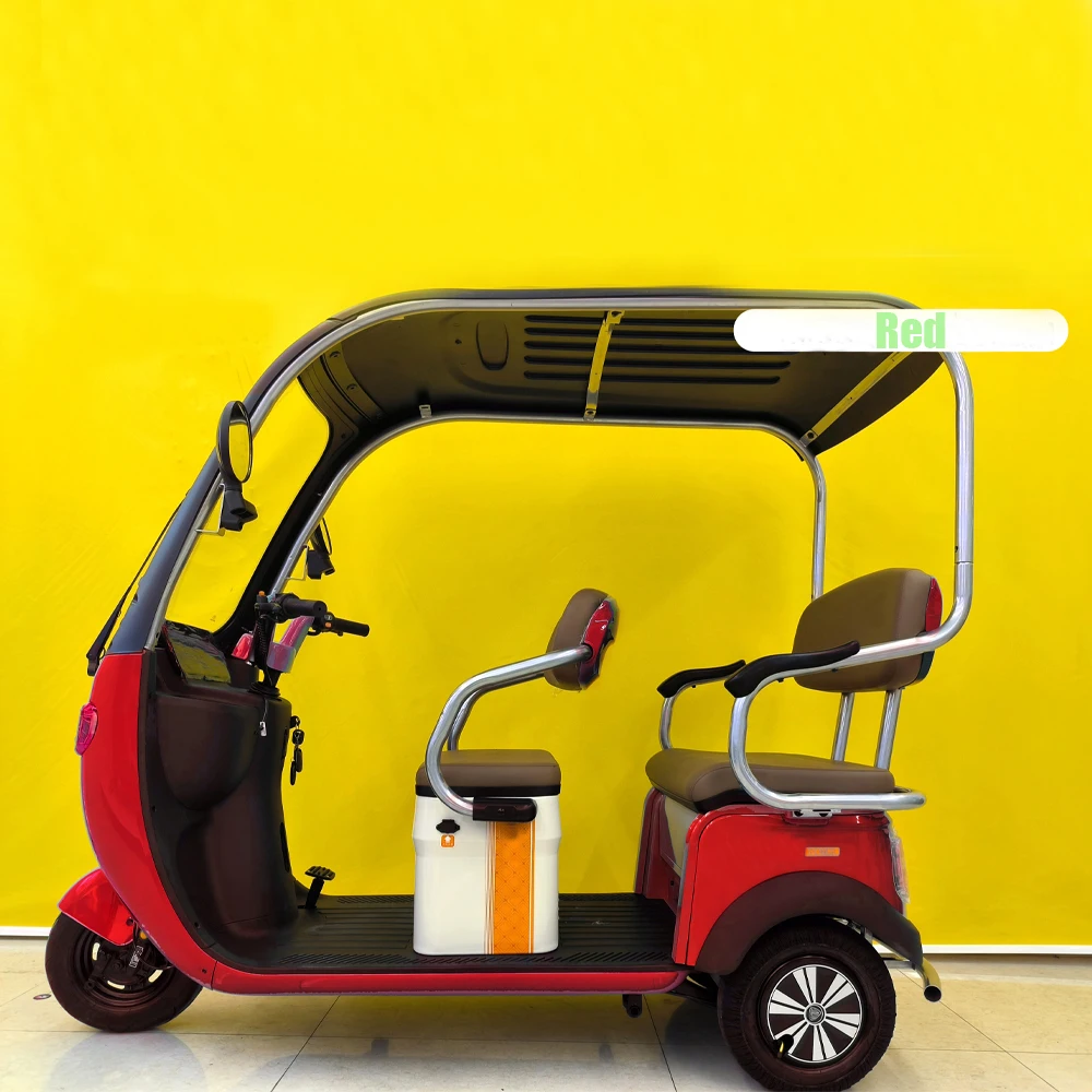 Wholesale 800W 3 Wheel Electric Tricycle Bike Family Use E Trike Electric Tricycle With Cover