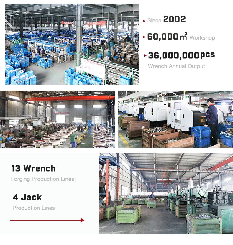 DISEN DSH1515 Logo Chave Catraca Professional High Quality Chrome Vanadium Steel Wrench Tool Sets