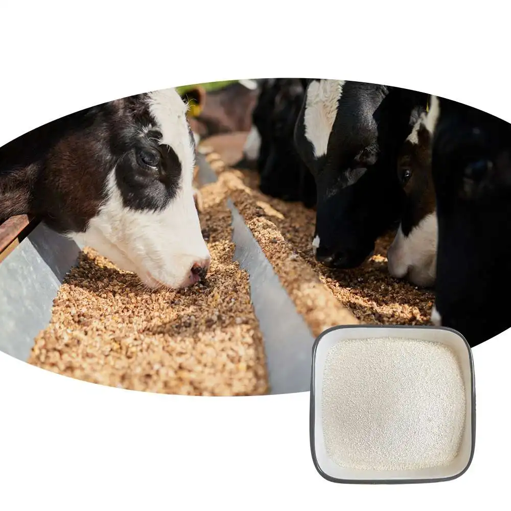 Animal growth feed additive manufacturers spot CAS No. 56-87-1 high quality raw materials Lysine