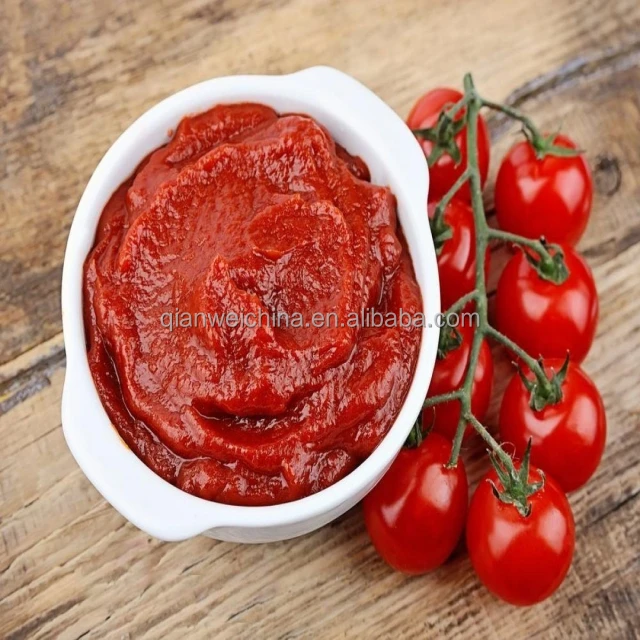 Automatic Stainless Steel Concentrated mango Pulp Sterilizer Tomato Paste Tube in Tube Sterilizer UHT Sterilizer for Paste