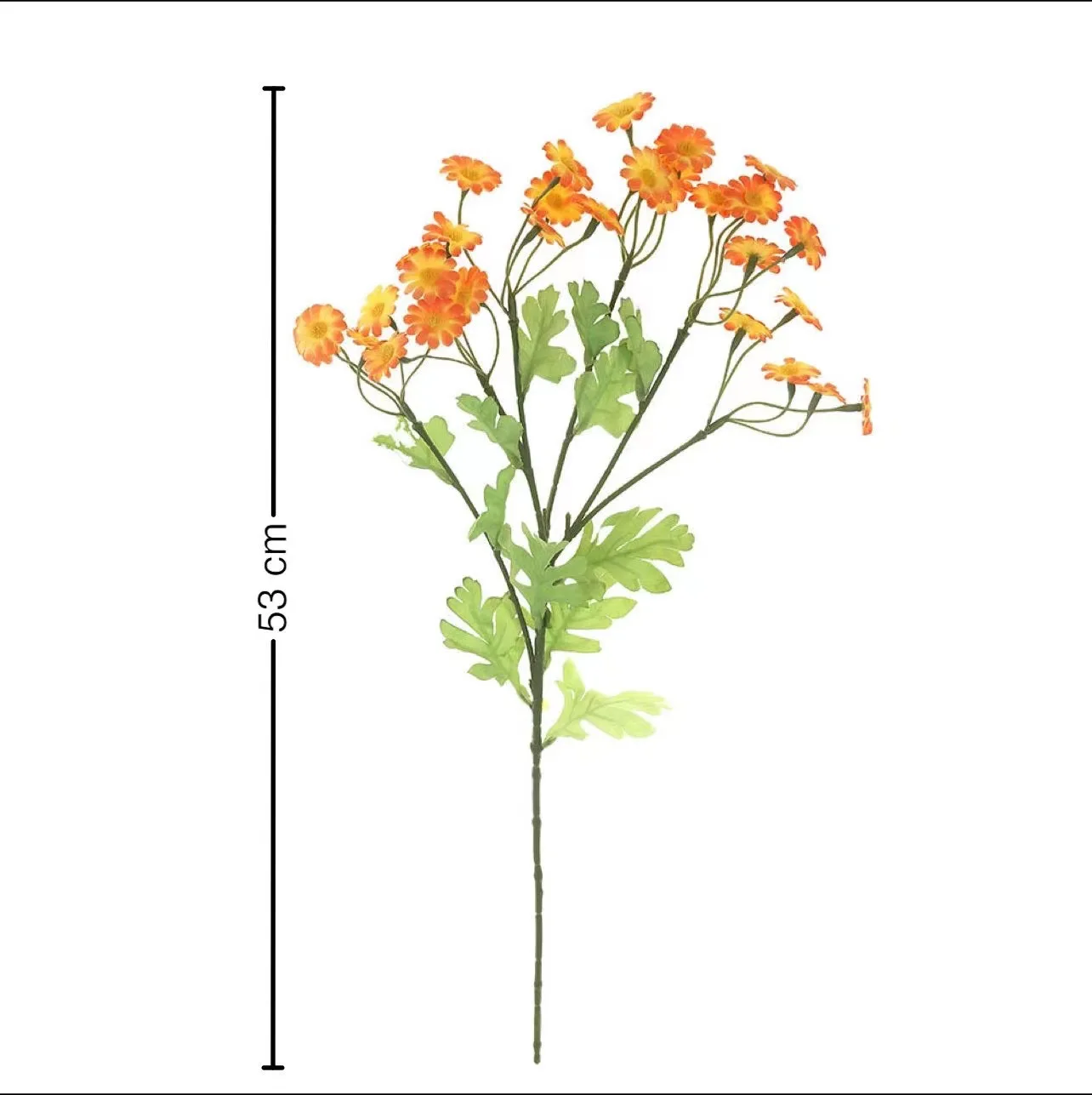 Wholesale dried flowers Pressed Flowers Natural Plants Press Daisy Flowers Resin And Nails wedding decoration