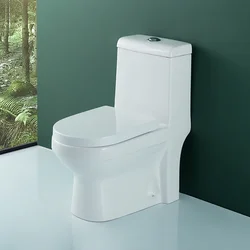 WDSI Water Less Toilet Bathroom Sanitary Ware And Accessories Toile