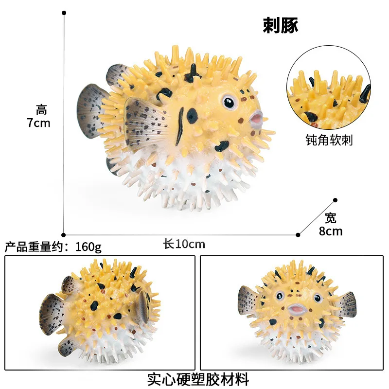 CJJ174 7517.jpg