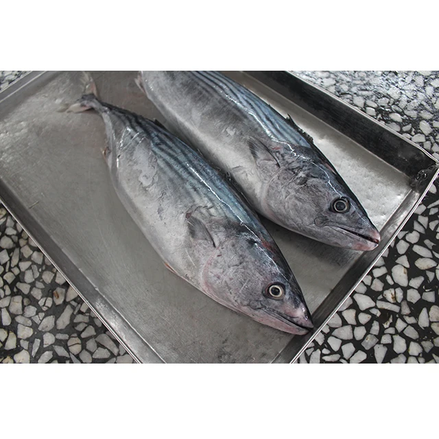 Замороженные сардины, тунец, 500-1000 г