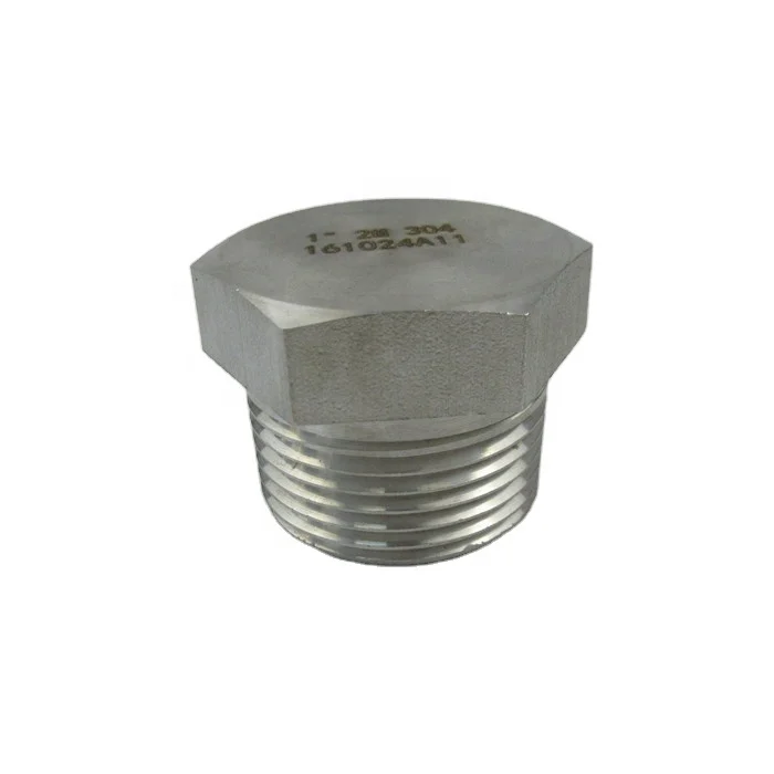 Stainless steel Hex Head Plug