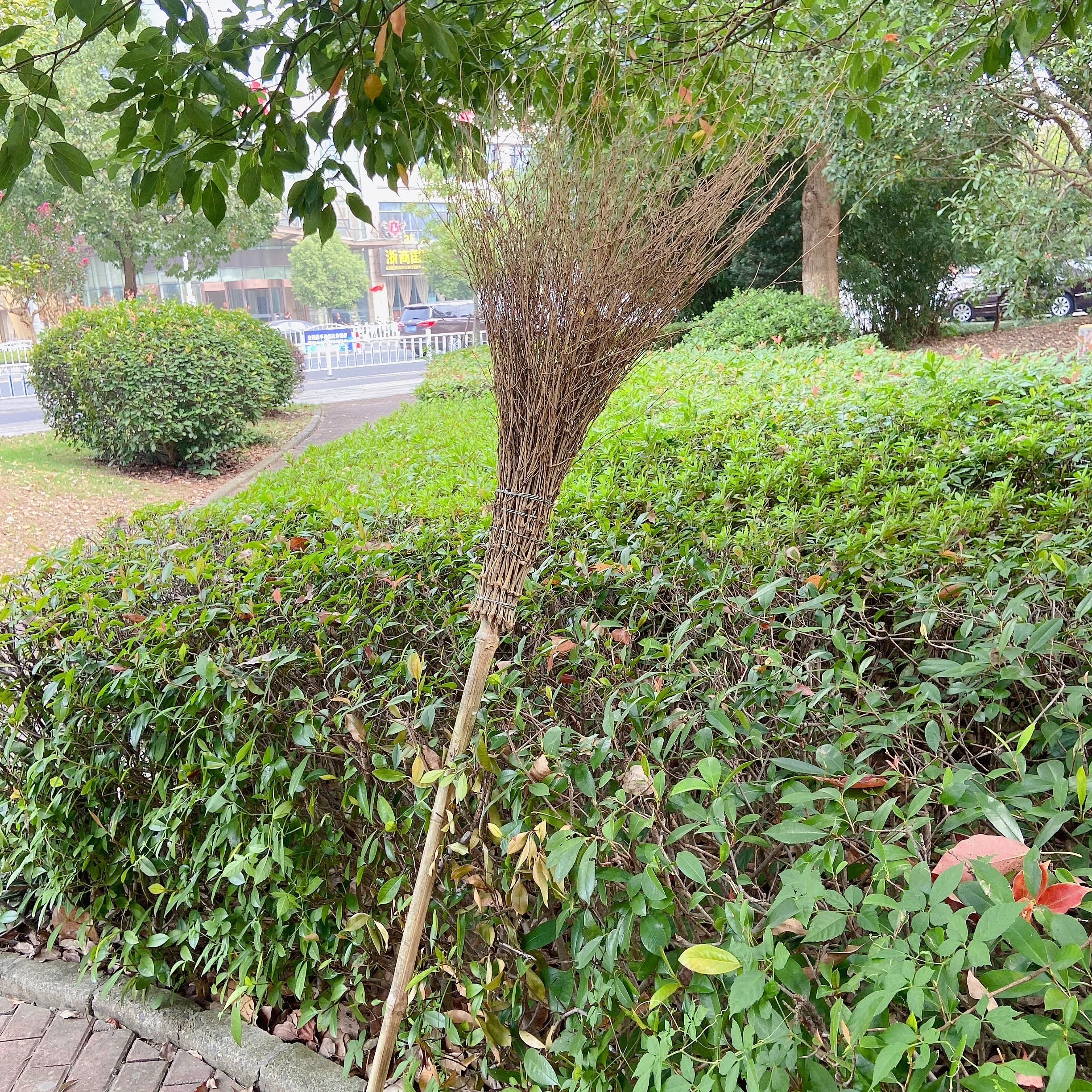 Manual Make Cheap Household Long Circular Bamboo Leaf Push Brooms Multi-function Magic Broom Supplier