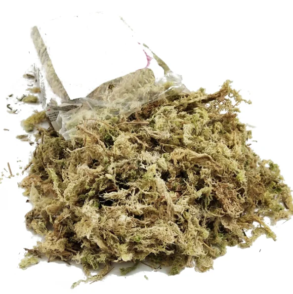 TY Factory Supplying succulent cultivation medium sphagnum moss dried sphagnum moss for Potted flowers
