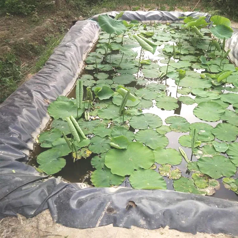Factory Supply Tank Fish Farming Pond Liner Geomembrane 1.5 mm