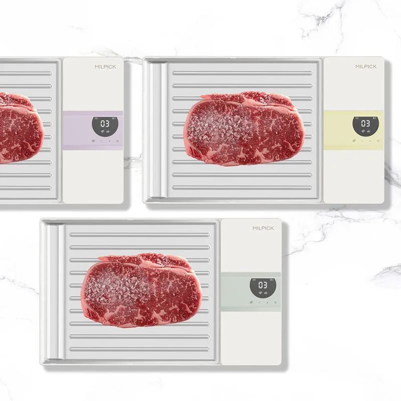 Food preservation best safe thaw tray fast automatic electric quickly fast thawing frozen food meat chicken fish