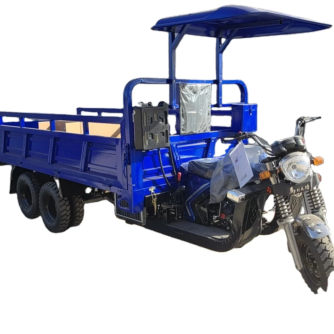 High Performance 350cc 9Wheel Motorized Cargo Tricycle for Sale Customizable Load Tricycle