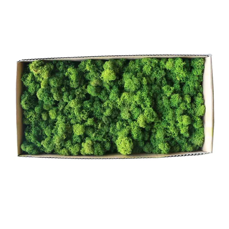 Индивидуальный дизайн многоцветная натуральная искусственная трава зеленая для торгового центра