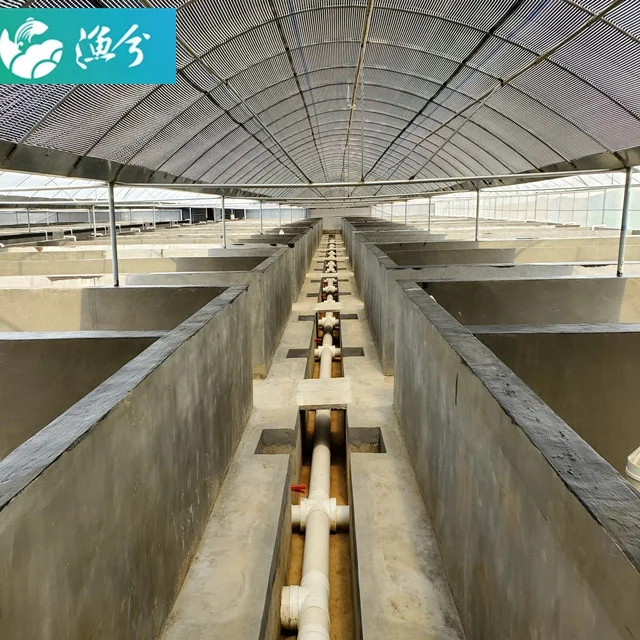 
Aquaculture tanks for large circulating water shrimp farm 