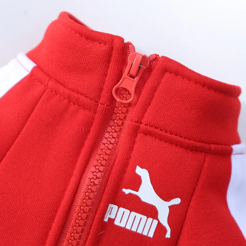 Dog supplie zipper tides designer name brand sweater letter printing Bichon Dog French Bulldog  pet clothes clothing supplies