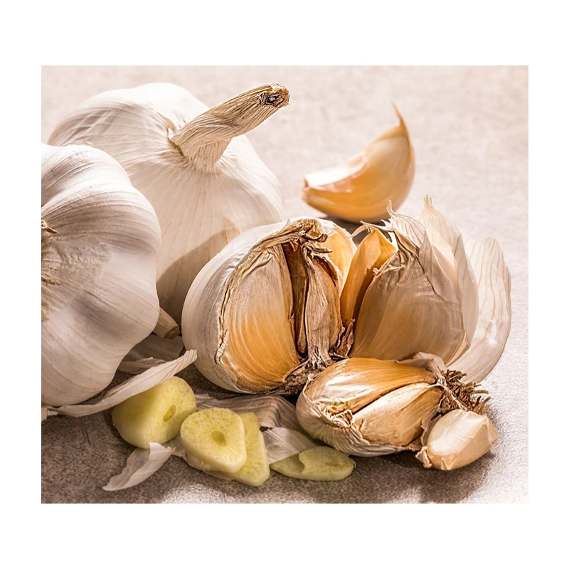 New crop China Fresh Natural Garlic Price