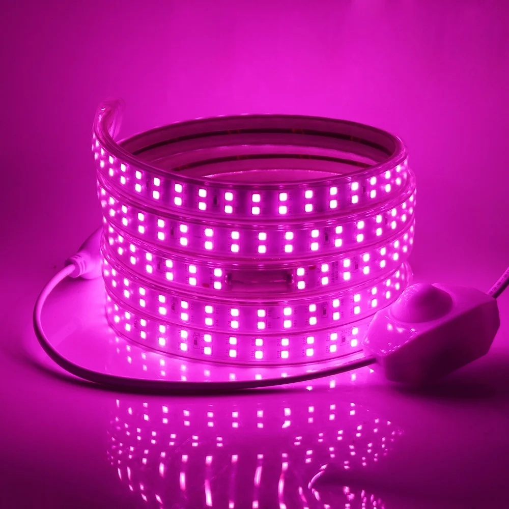 Italy Fast Shipping Wireless Background 2835 144P 220V Double Row Fuse Design LED Strip Light