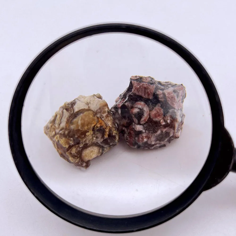 High quality mix color gemstone wholesale rough natural crinoid raw stone for mineral specimen