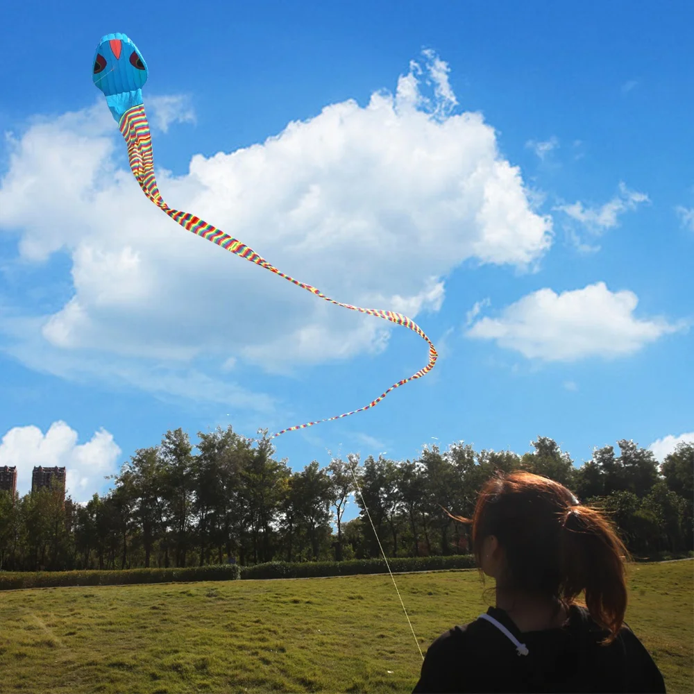 wholesale  large outdoor  flying snake power soft naish  long tail   animal  kite