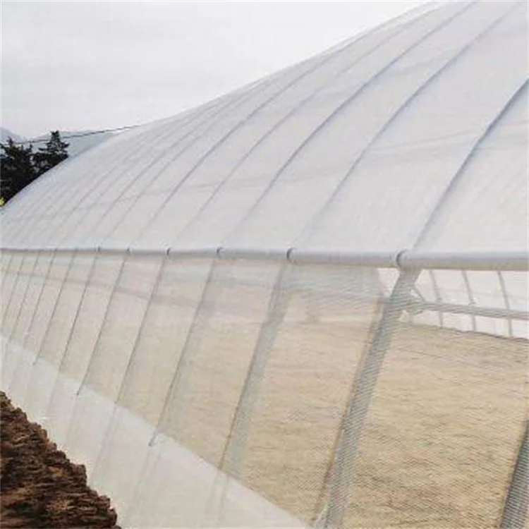 
HDPE agriculture anti-insectanti net 0.8 x 0.8 for greenhouse/150 gsm/100mesh white color weave anti insect net with 5% uv 