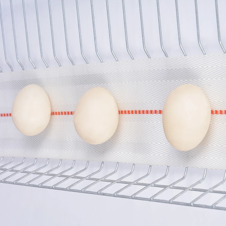 New Composite Mater Chicken Eggs Conveying Belt for Chicken Layer cage