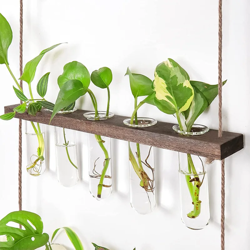 NISEVEN Hot Sales Decor Hanging Plants Rack Wall Mounted Plant Stand With Propagation Tubes 3 Tiered Wall Hanging Terrarium