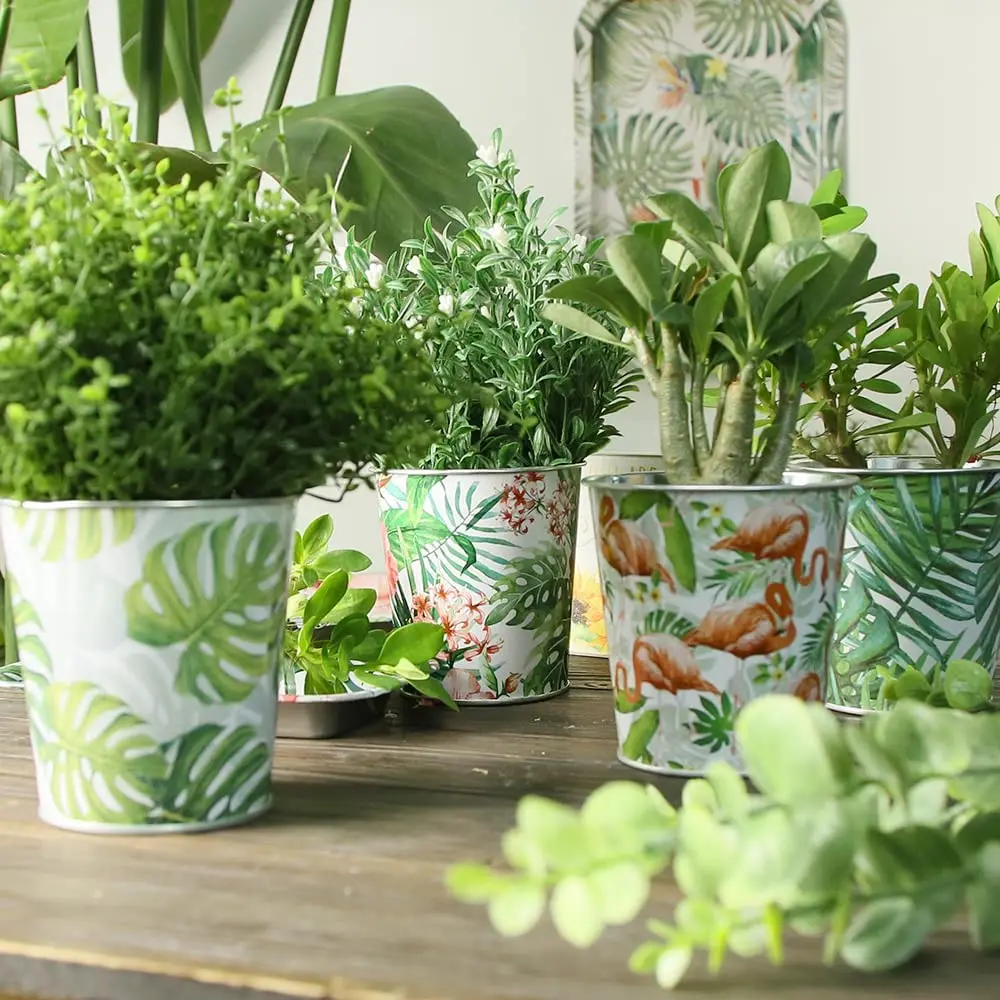 Home garden decor custom several sizes Chinese rustic style flower bucket pots galvanized succulent planter herb pot