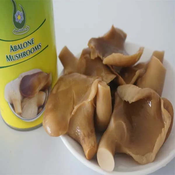 Best Canned Abalone mushroom in brine price 425g