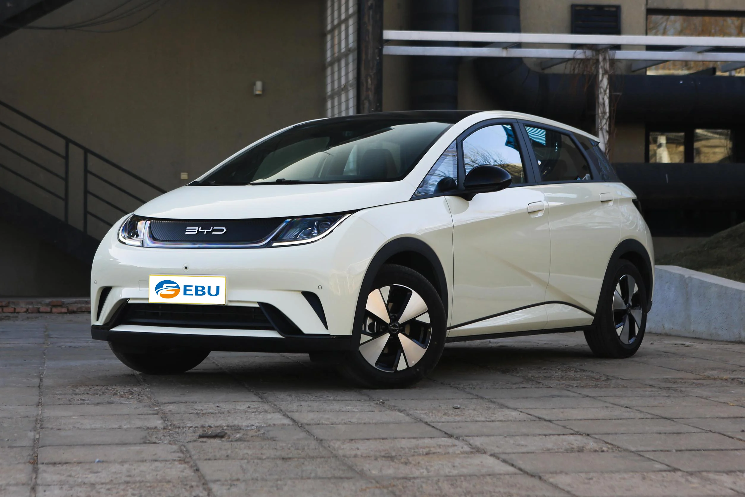 Uzbekistan Russia BYD Dolphin new electric city car High Speed Mini Electric Vehicle