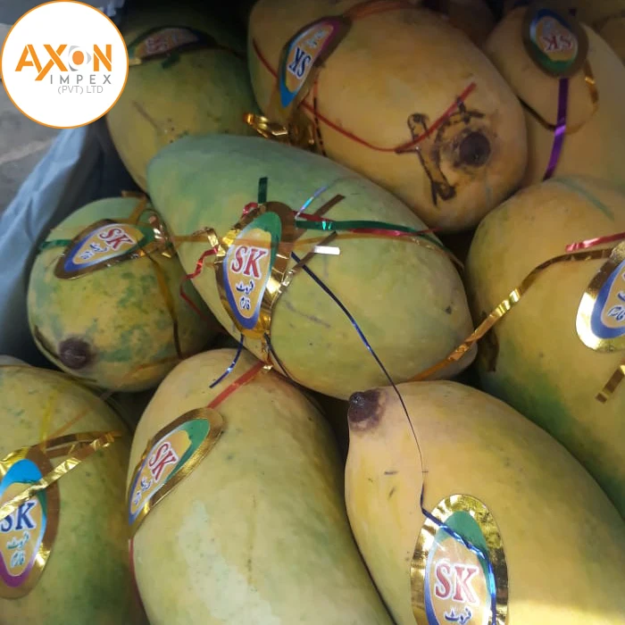 
Chaunsa Mango Impot from Pakistan 