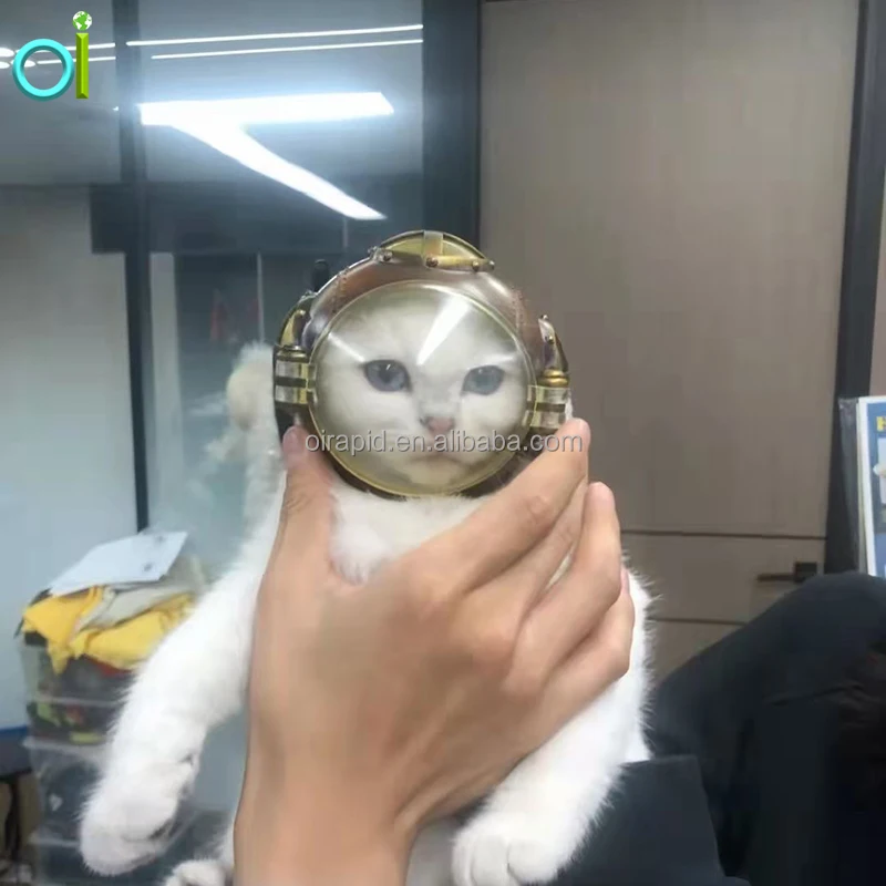 Puppy Cat Hat Helmets Small Pet Cool Fashion Plastic Outdoor Helmets Photo Props Protect Pet Accessories