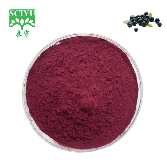Supply black Elderberry Extract Powder free sample