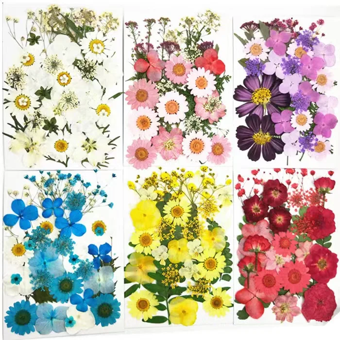 Bulk Sale Multicolor Multifunctional DIY Candle Phone Case Make Decorative Pressed Dried Flowers For Resin