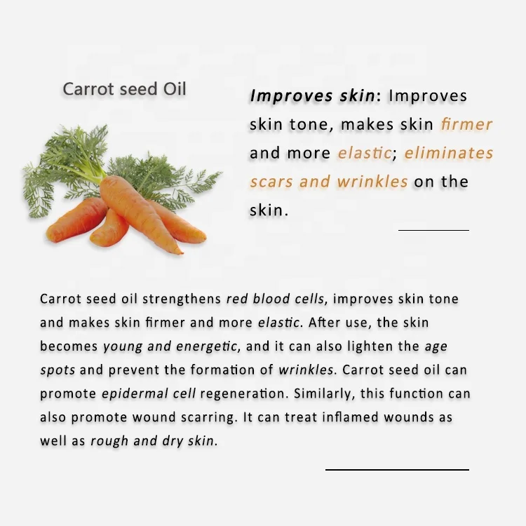 Oem Private Label 100% Pure Natural Organic Carrot Seed Oil