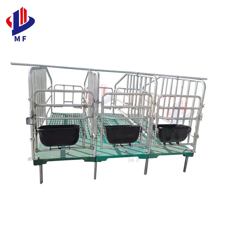 Great farm agricultural equipment sow stalls pig farrowing crate pen
