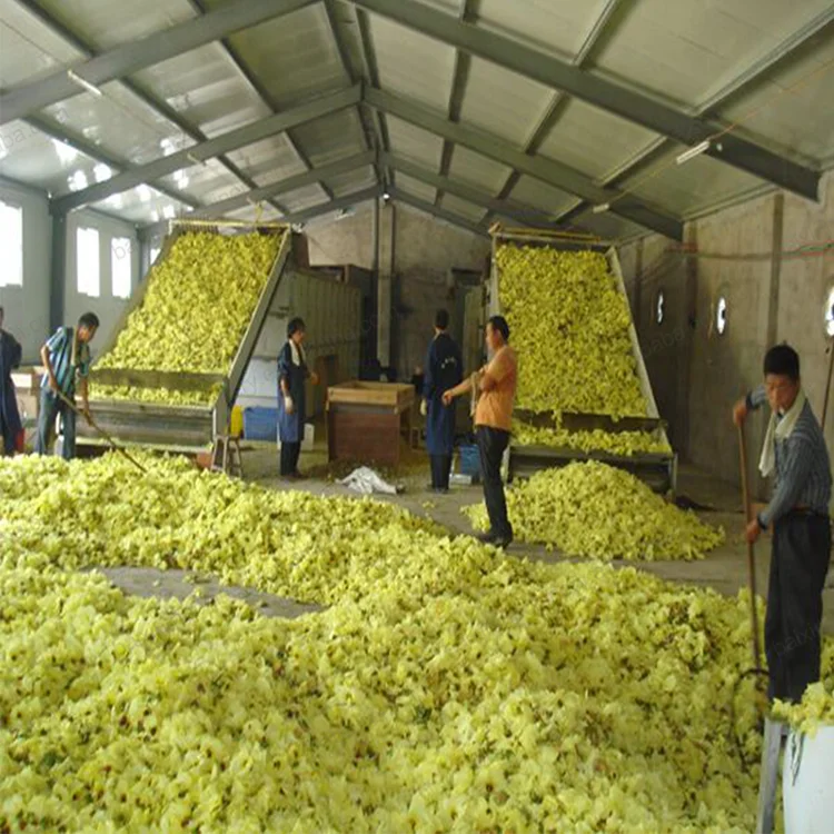 nut/peanut/pumpkin seed/walnut/yam/palm kernel drying machine mesh belt dryer