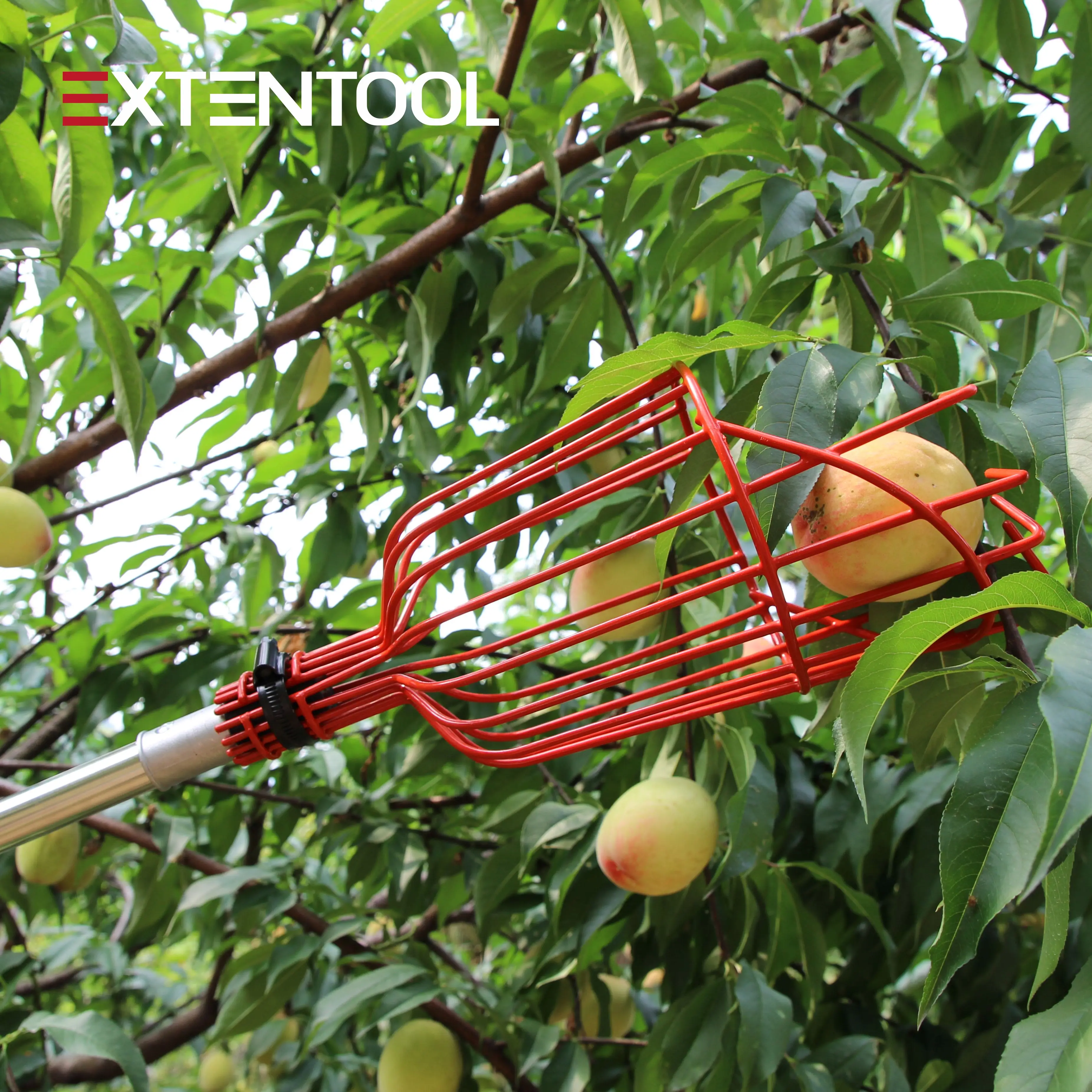 Extentool garden tools durable fruit picker extendable telescopic aluminum pole with strong basket