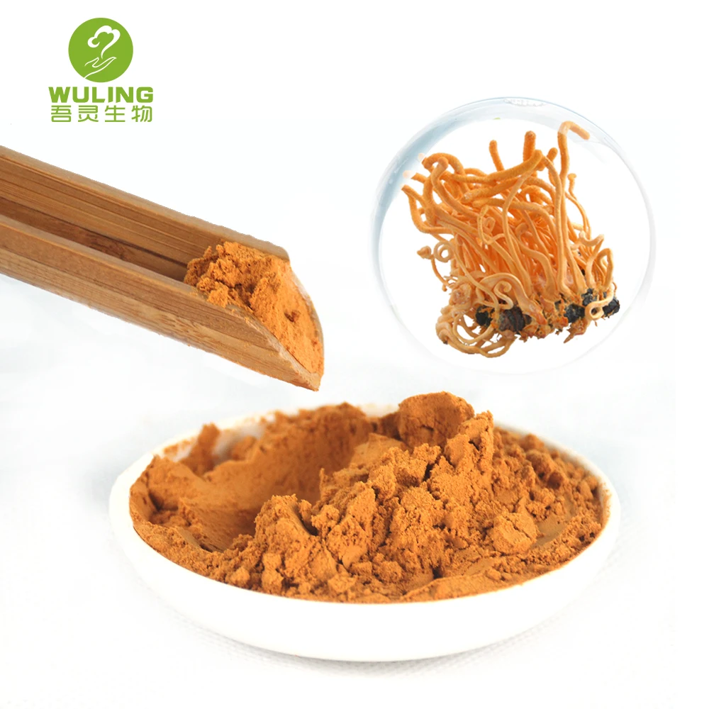 Оптовая продажа, травяной экстракт Кордицепса по лучшей цене